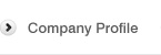Company Profile