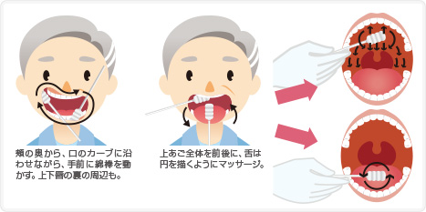 頬の奥から、口のカーブに沿わせながら、手前に綿棒を動かす。上下唇の裏の周辺も。上あご全体を前後に、舌は円を描くようにマッサージ。