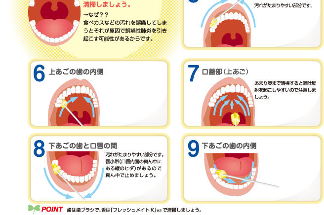 マーキー 不毛の 精算 口腔 ケア スポンジ ブラシ 手順 Tayoreru Gaiheki Com